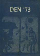 Daingerfield High School 1973 yearbook cover photo