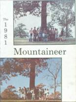 Mt. Vernon High School 1981 yearbook cover photo