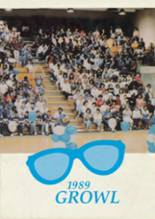 1989 Desoto County High School Yearbook from Arcadia, Florida cover image