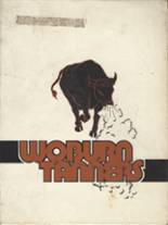 1982 Woburn High School Yearbook from Woburn, Massachusetts cover image