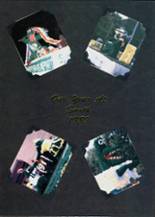 Crystal Lake South High School 1989 yearbook cover photo