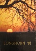 Lone Grove High School 1981 yearbook cover photo