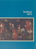 Napoleon High School 1975 yearbook cover photo