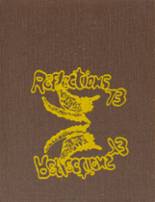 Fairfield High School 1973 yearbook cover photo