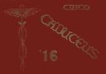 1916 Chico High School Yearbook from Chico, California cover image