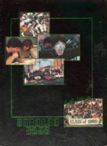 1985 Farmingdale High School Yearbook from Farmingdale, New York cover image