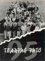 Pleasant High School 1995 yearbook cover photo