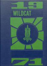 Willow River High School 1971 yearbook cover photo