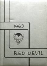 Decatur Community High School 1963 yearbook cover photo