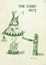 1973 Waxahachie High School Yearbook from Waxahachie, Texas cover image