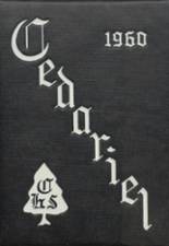 Cedarburg High School 1960 yearbook cover photo