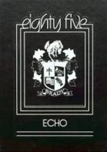 1985 Brady High School Yearbook from West st. paul, Minnesota cover image