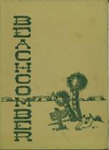 Coronado High School 1949 yearbook cover photo