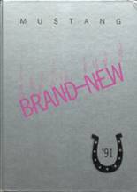 1991 Beardsley High School Yearbook from Beardsley, Minnesota cover image