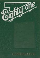 1981 St. John's Central High School Yearbook from Bellaire, Ohio cover image