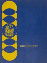 1973 Kern Valley High School Yearbook from Lake isabella, California cover image