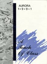 1991 Rice Lake High School Yearbook from Rice lake, Wisconsin cover image