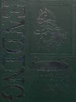 1999 Rowan County High School Yearbook from Morehead, Kentucky cover image