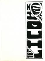 Litchfield High School 1971 yearbook cover photo