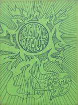 1973 Mt. Si High School Yearbook from Snoqualmie, Washington cover image