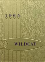 1965 New London-Spicer High School Yearbook from New london, Minnesota cover image
