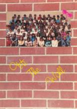 Greeneview High School 1989 yearbook cover photo