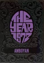 Amboy High School 1972 yearbook cover photo