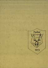 Moultrie/Colquitt County High School 1973 yearbook cover photo