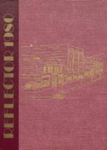 1980 Sidney High School Yearbook from Sidney, New York cover image