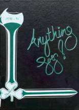 Berrien Springs High School 1991 yearbook cover photo
