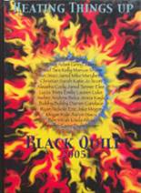 2005 Blackduck High School Yearbook from Blackduck, Minnesota cover image