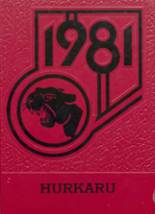 Concordia High School 1981 yearbook cover photo
