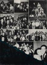 DeLeon High School 1995 yearbook cover photo