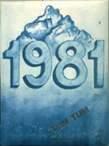 Port Angeles High School 1981 yearbook cover photo