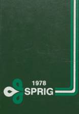 Bremen High School 1978 yearbook cover photo
