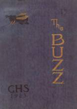 1923 Galt High School Yearbook from Galt, California cover image