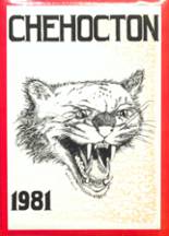 Hancock Central High School 1981 yearbook cover photo