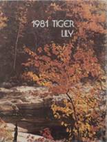 Port Allegany High School 1981 yearbook cover photo