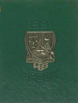 1981 Green Brook High School Yearbook from Green brook, New Jersey cover image