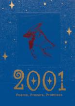 2001 Sheldon Clark High School Yearbook from Inez, Kentucky cover image