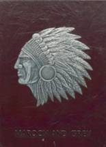 Dobyns-Bennett High School 1980 yearbook cover photo
