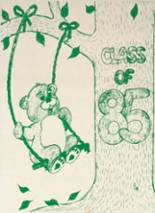1985 Goldburg High School Yearbook from Stoneburg, Texas cover image