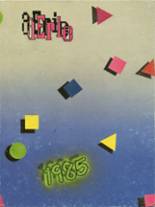 Los Altos High School 1985 yearbook cover photo