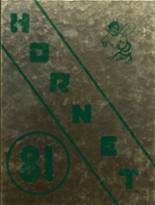1981 Mineral Springs High School Yearbook from Mineral springs, Arkansas cover image