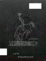 1973 Shoshoni High School Yearbook from Shoshoni, Wyoming cover image