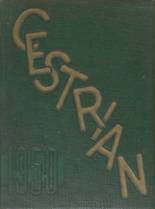 1950 Chester High School Yearbook from Chester, South Carolina cover image