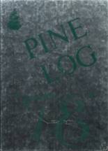 1978 Stissing Mountain High School Yearbook from Pine plains, New York cover image
