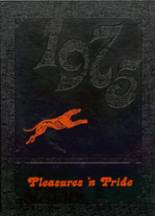 1975 Paris High School Yearbook from Paris, Kentucky cover image