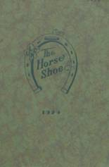 1929 Luck High School Yearbook from Luck, Wisconsin cover image