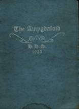 Houghton High School 1923 yearbook cover photo